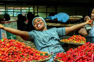 Is Federal Government’s #TraderMoni a Commendable Micro-Economic Plan or Political Ruse?