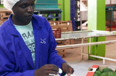 SMEs as a Key Driver to Economic Growth in an Emerging Market by Adewale Adeyipo