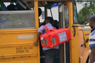 Meet Gricd Frij, the Nigerian Startup Using IoT to Provide Cold Chain Solutions for the Agric and Health Sector