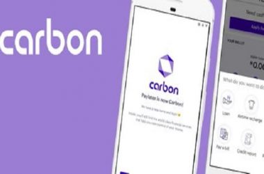 Fintech Firm, Carbon has opened its Financial Services API to help Start-ups, SMEs Across Africa Build their Business