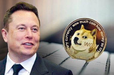 XRP Elon-Musk-Dogecoin-2