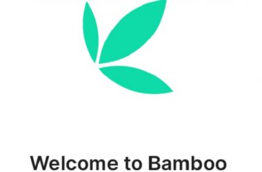 Bamboo