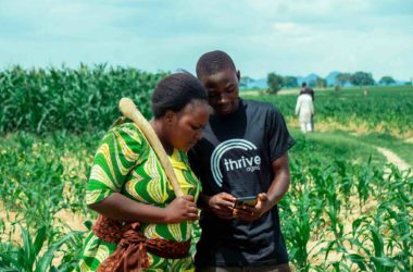 ThriveAgric raises $56.4m debt funding to accelerate pan-Africa expansion