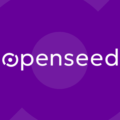 Africa-focused OpenseedVC debuts with $10 million fund for early-stage startups