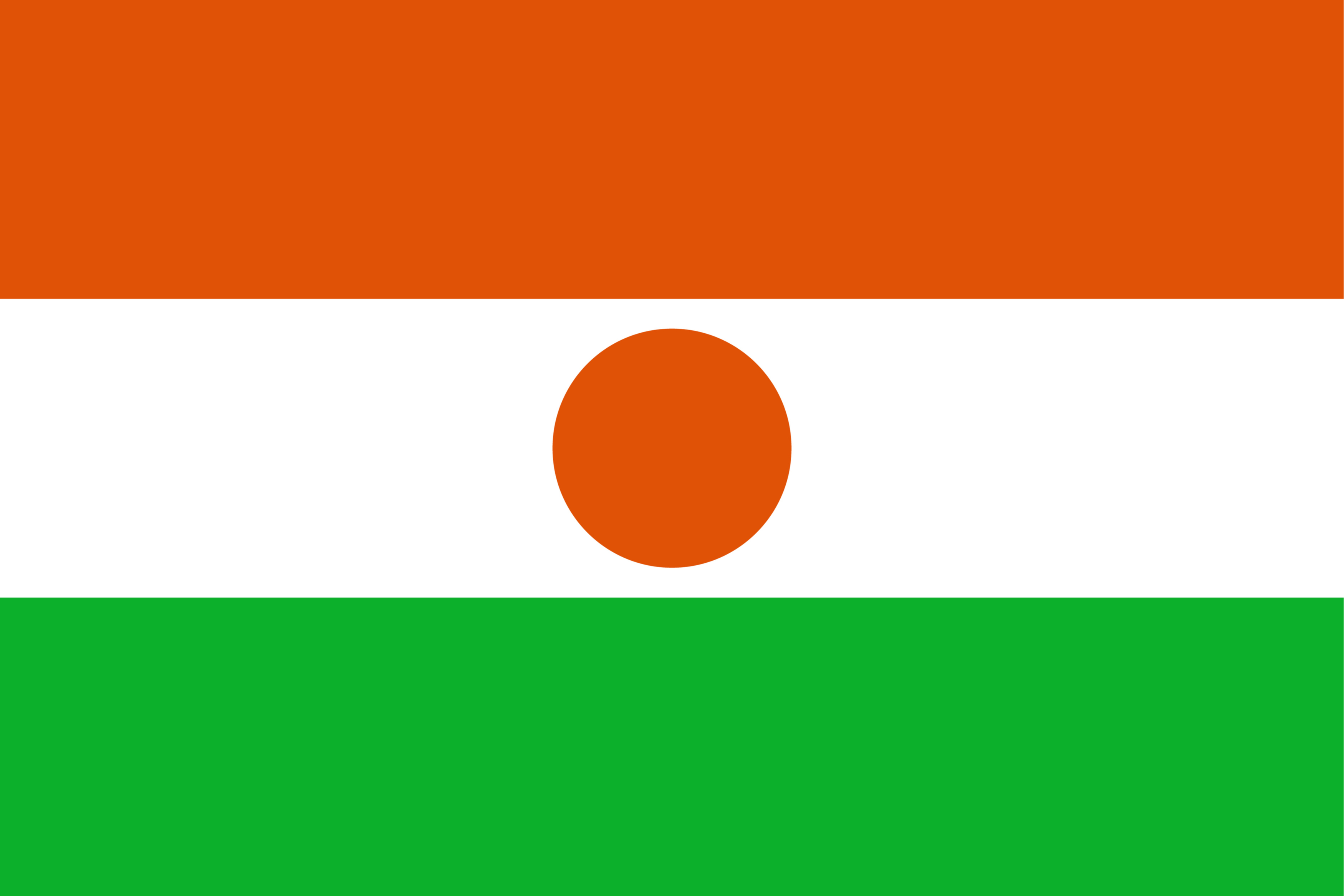 Niger flag