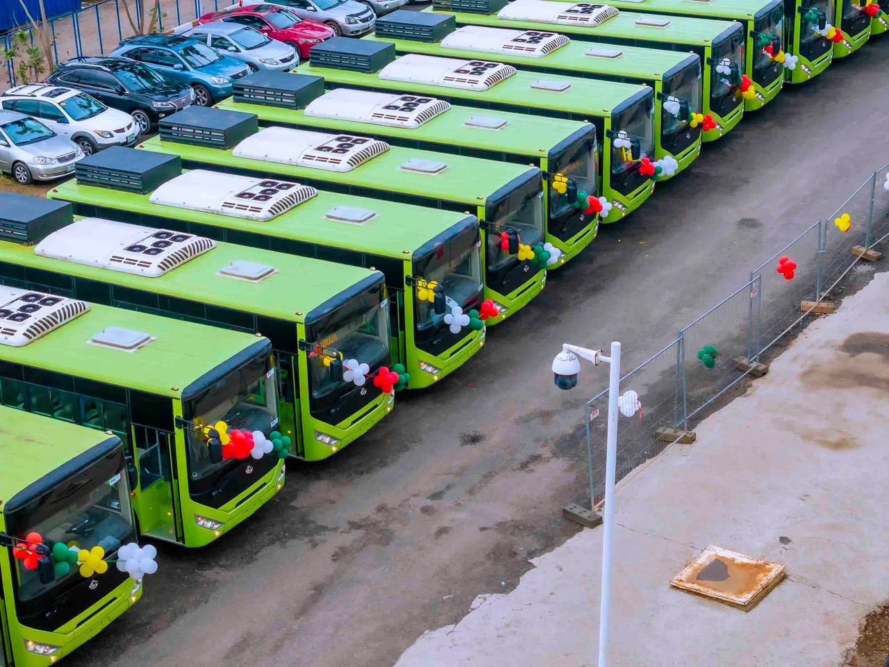 CNG buses