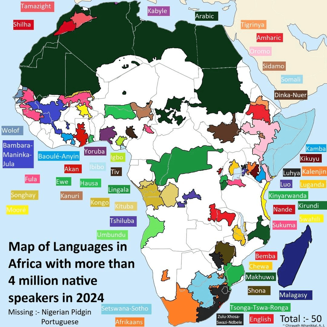 How Nigerian AI Developers Are Building a More Inclusive Future