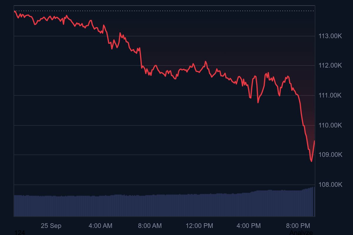 Bitcoin falls below $110,000