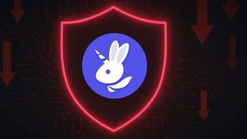 Bunni