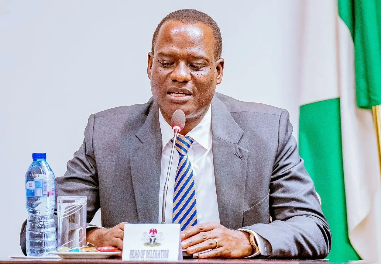 Tax: Pensions, stipends, remote earnings of Nigerians in diaspora to be exempted – Taiwo Oyedele