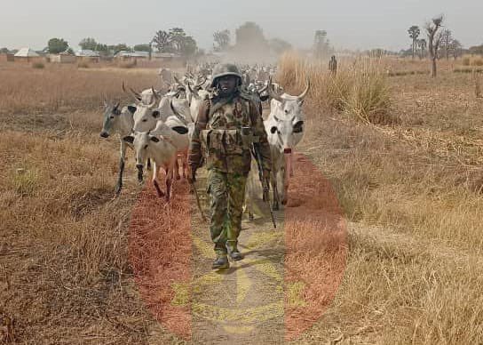 Nigerian Army