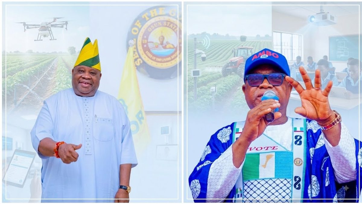 Osun State's untapped tech opportunity: How technology could transform agriculture, healthcare and education