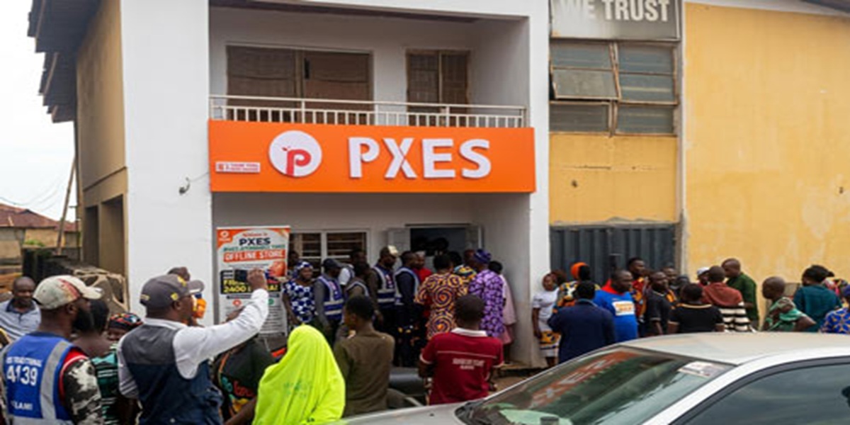 Angry investors storm PXES offices in another major Ponzi scheme collapse