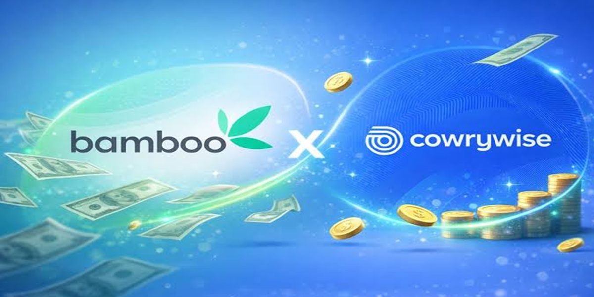 Dangote IPO frenzy leaves Nigerians locked out of Bamboo, Cowrywise as investors vent online
